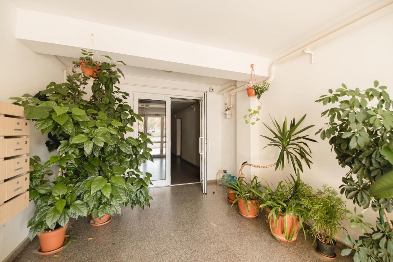 Oltului Apartment Braşov Eksteriør bilde